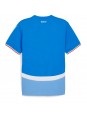 Island Heimtrikot 2024 Kurzarm